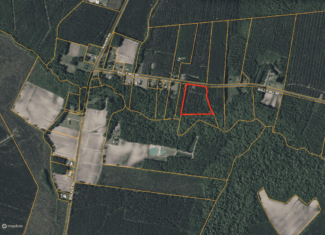 9.5 Acres Timberland Near New Bern & Washington NC